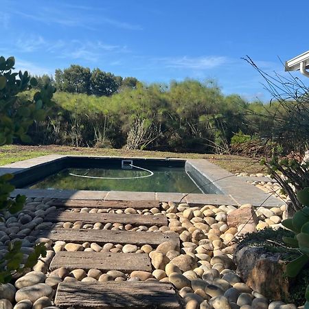 Tenikwa Wildlife Centre & Spa Plettenberg Bay Ngoại thất bức ảnh