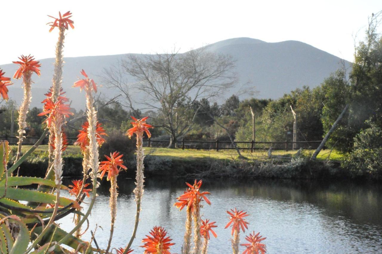 Tenikwa Wildlife Centre & Spa Plettenberg Bay Ngoại thất bức ảnh