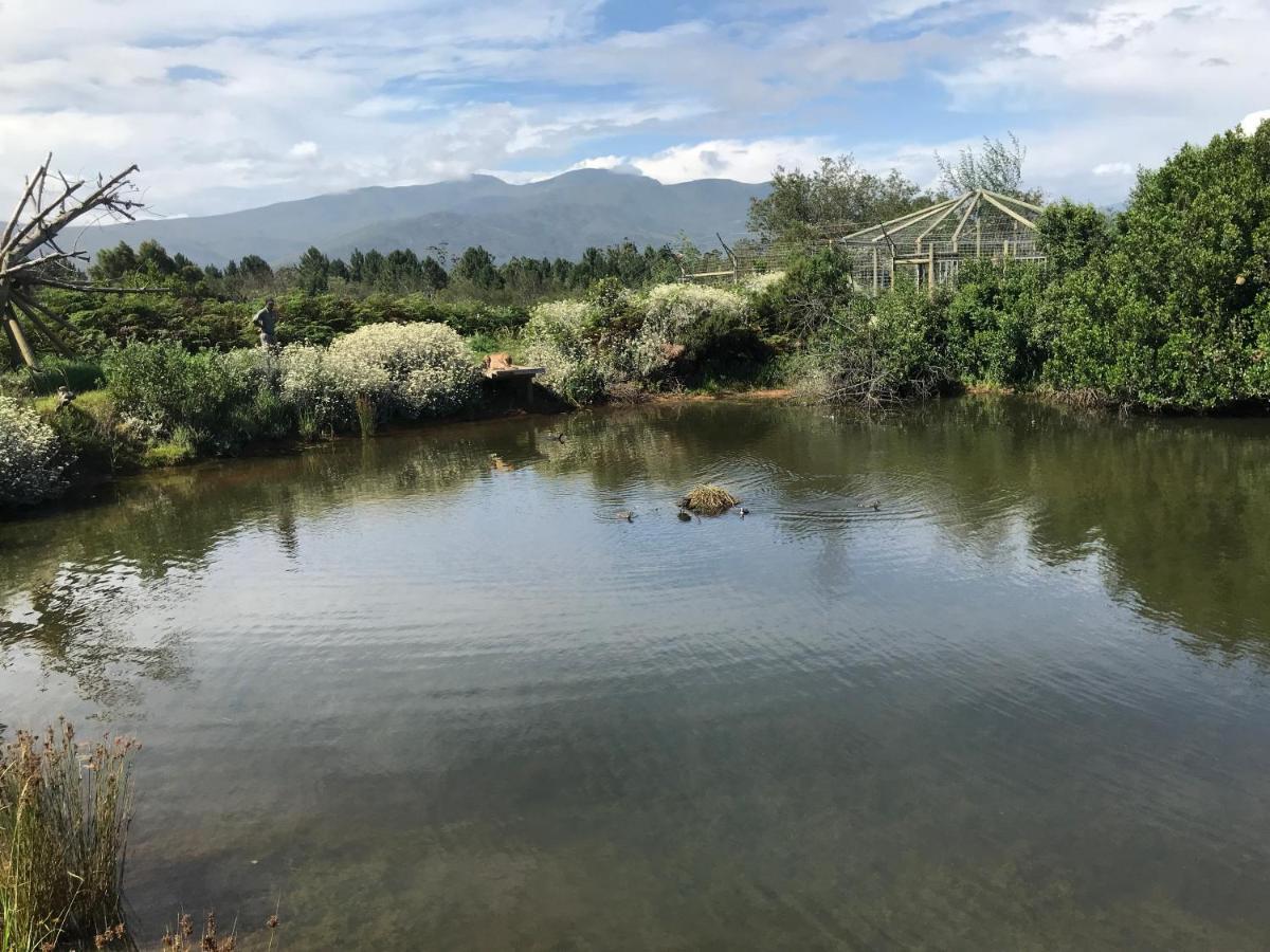 Tenikwa Wildlife Centre & Spa Plettenberg Bay Ngoại thất bức ảnh
