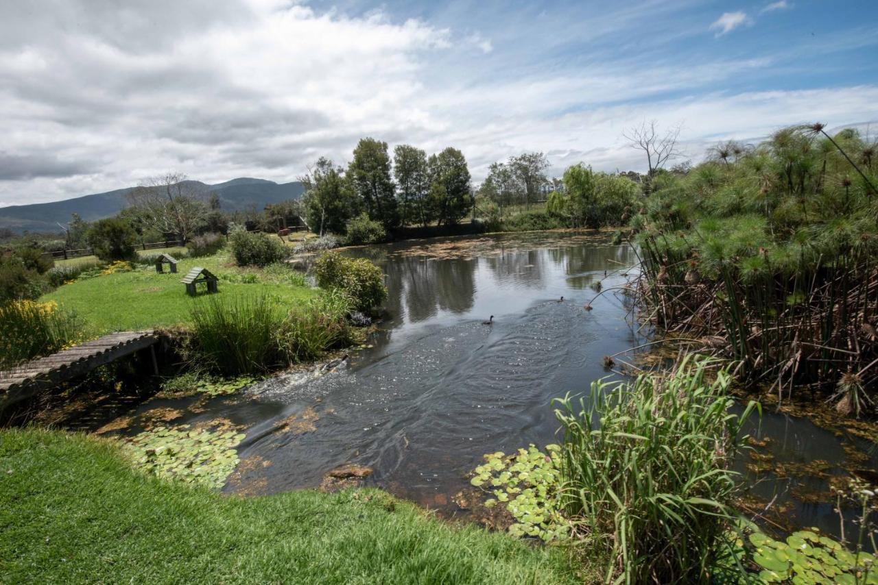 Tenikwa Wildlife Centre & Spa Plettenberg Bay Ngoại thất bức ảnh
