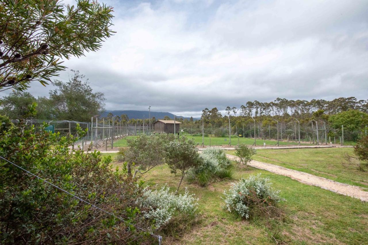 Tenikwa Wildlife Centre & Spa Plettenberg Bay Ngoại thất bức ảnh