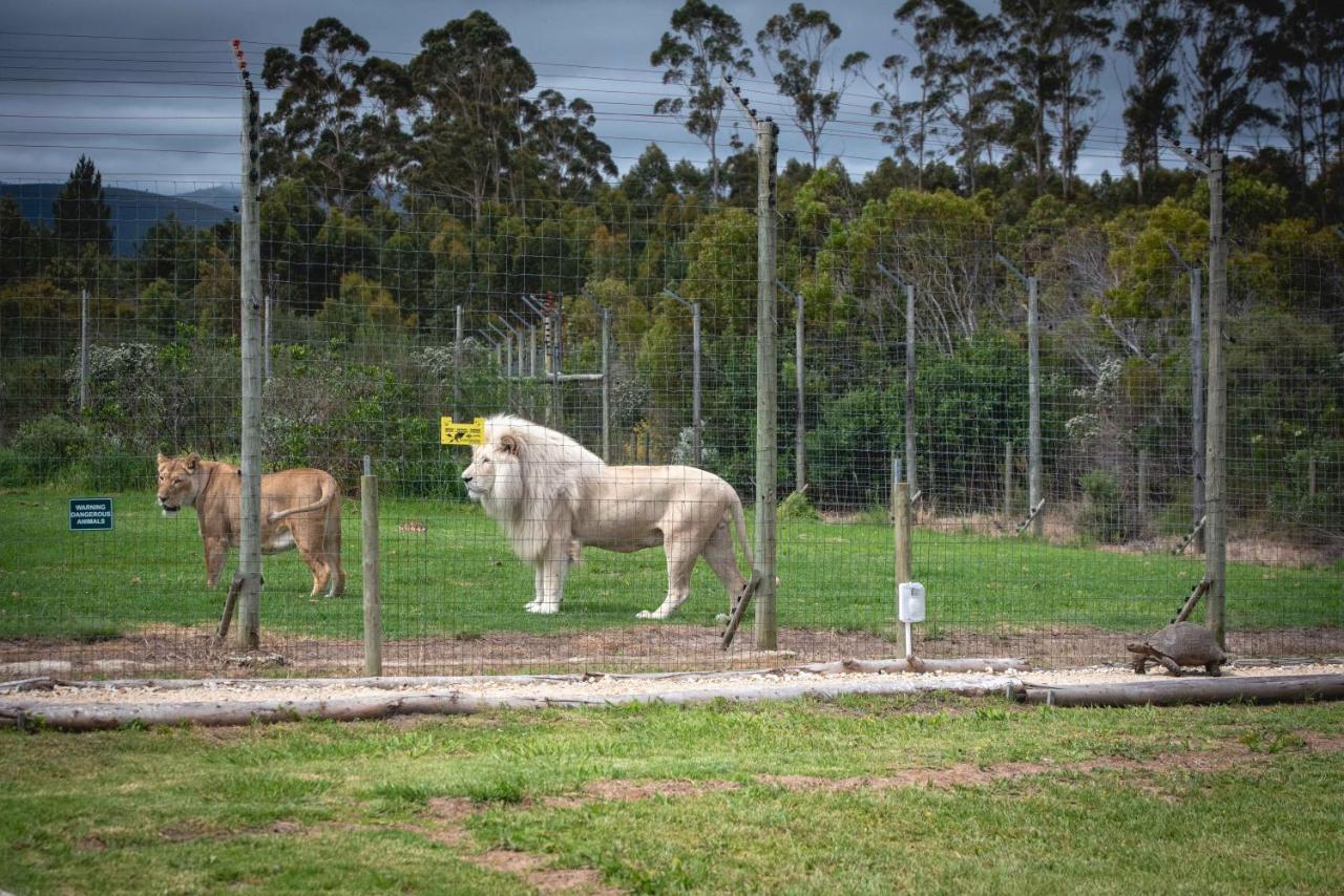 Tenikwa Wildlife Centre & Spa Plettenberg Bay Ngoại thất bức ảnh