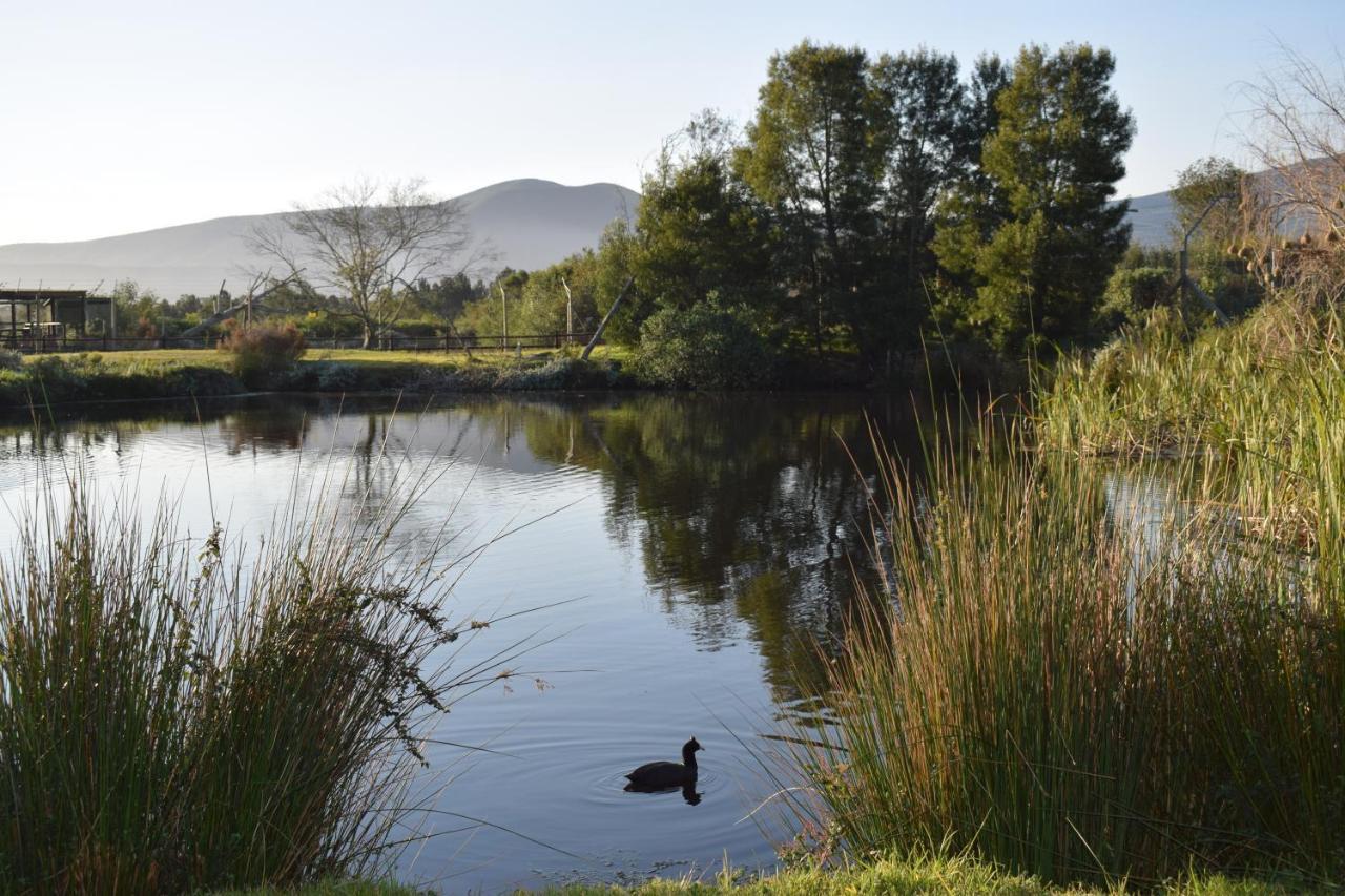 Tenikwa Wildlife Centre & Spa Plettenberg Bay Ngoại thất bức ảnh