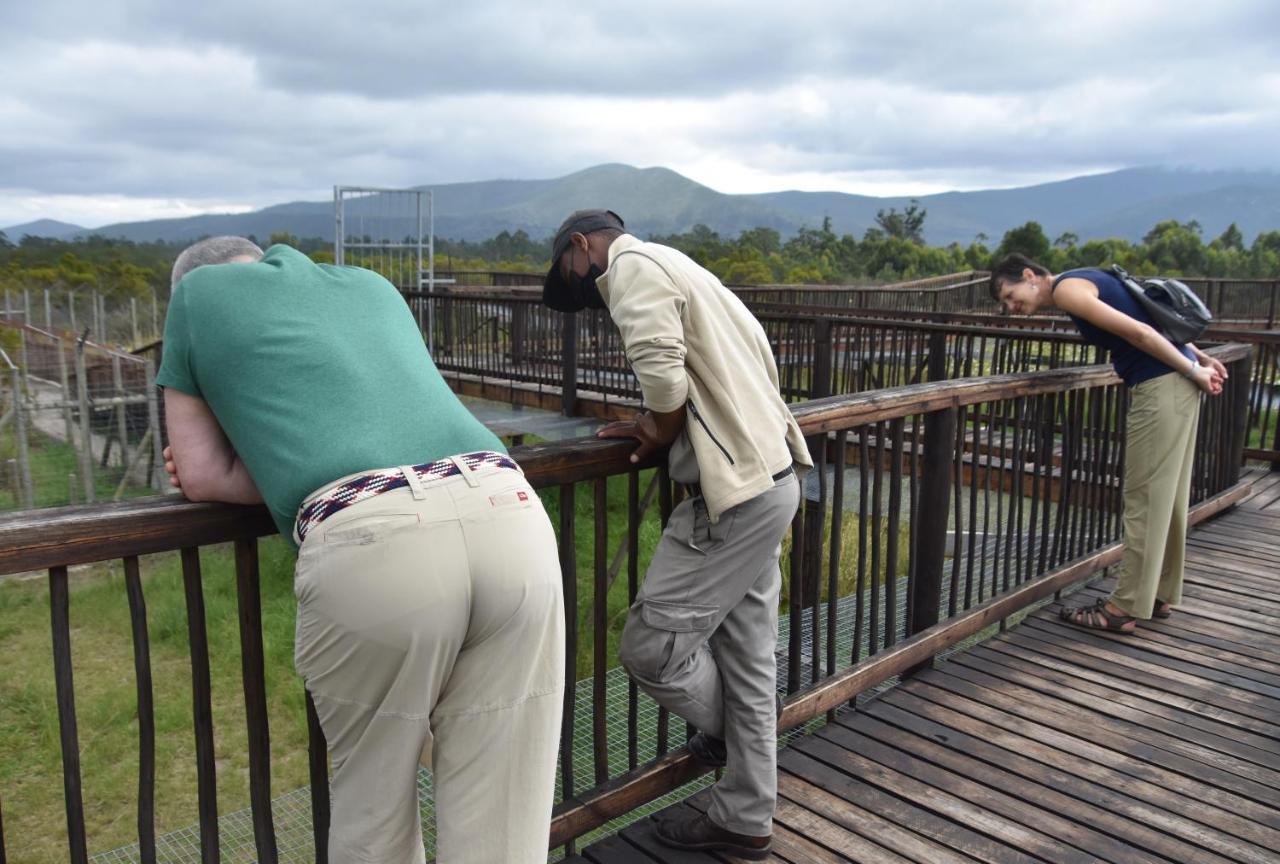 Tenikwa Wildlife Centre & Spa Plettenberg Bay Ngoại thất bức ảnh