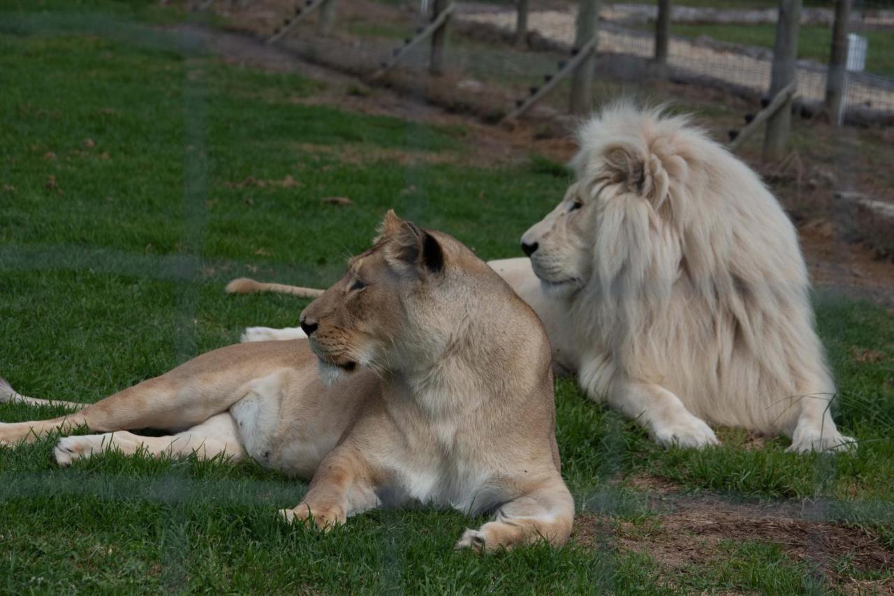 Tenikwa Wildlife Centre & Spa Plettenberg Bay Ngoại thất bức ảnh