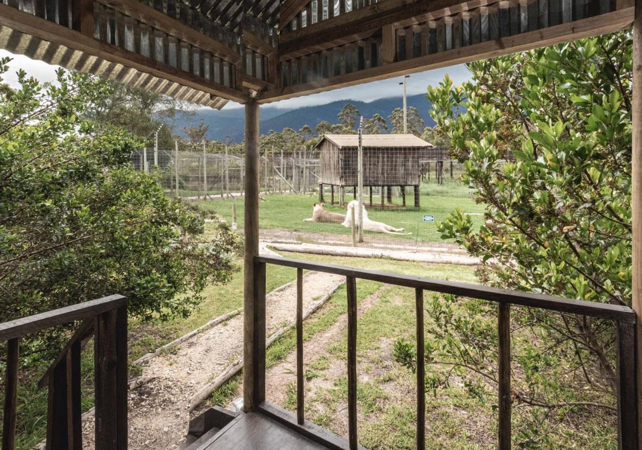 Tenikwa Wildlife Centre & Spa Plettenberg Bay Ngoại thất bức ảnh