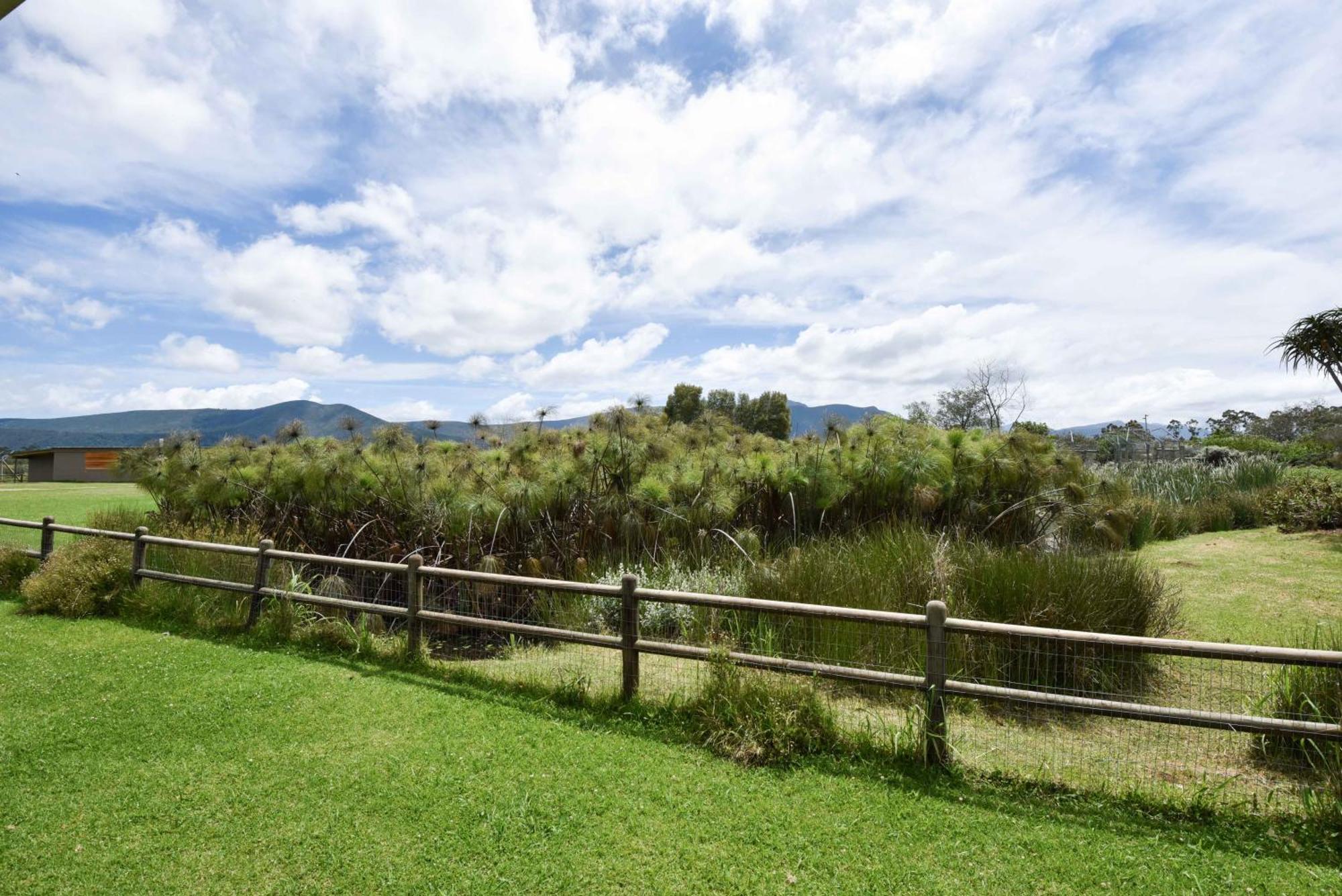 Tenikwa Wildlife Centre & Spa Plettenberg Bay Ngoại thất bức ảnh